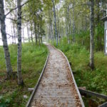 Baumlehrpfad - Arboretumpuisto