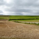 In Schottland ist das Gras grüner