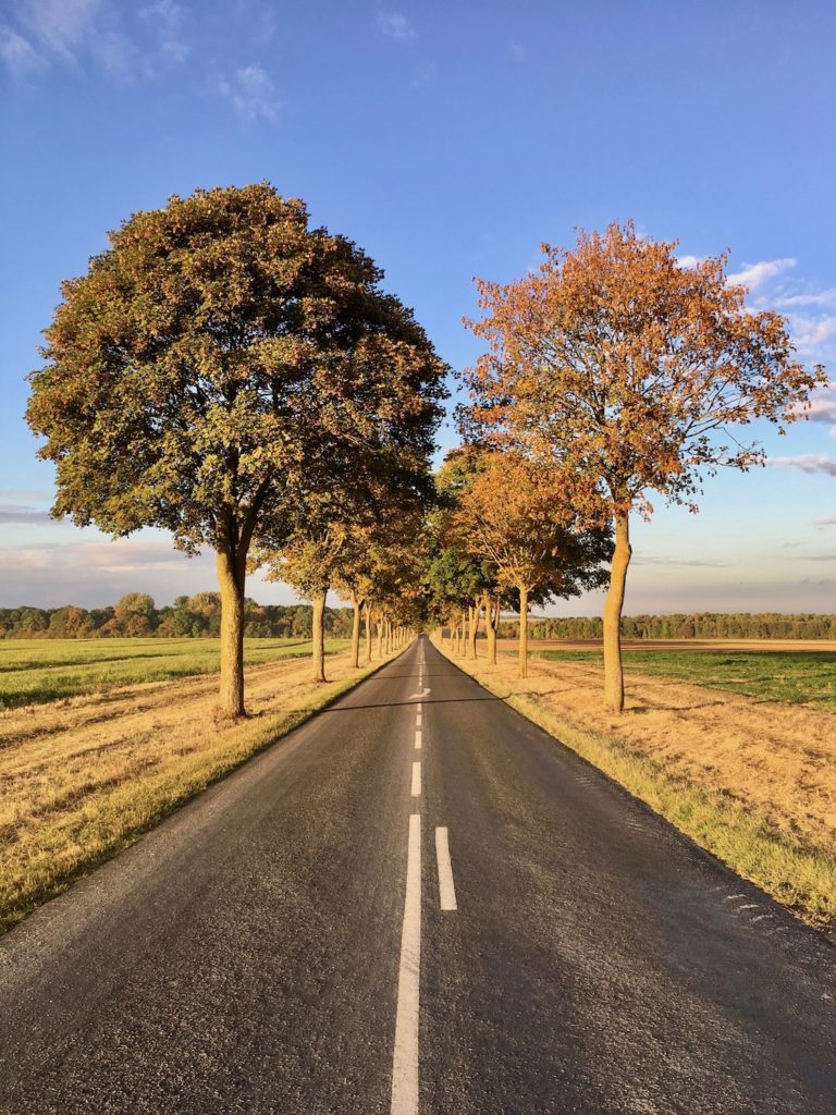 Herbstliche Strasse