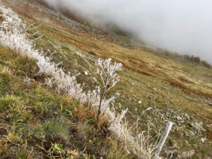 Eisblumen auf dem Col du Pas de Peyrol