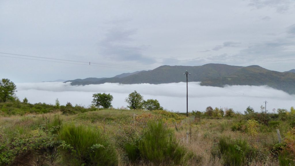 Wolkensuppe