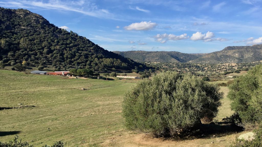 Typische sardische Landschaftsformation