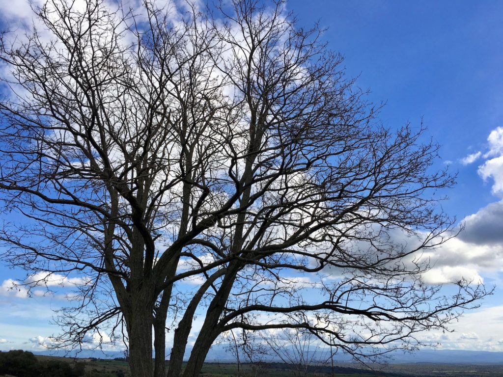 Himmel bei Santu Lussurgiu, Sardinien, Italien