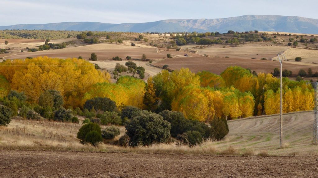 Herbst bei Rebollo, Kastilien-León, Spanien