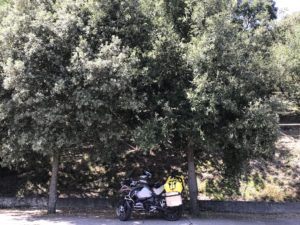 Mittagspause mit Motorrad im Schatten von Bäumen