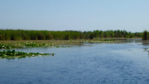 Donaudelta