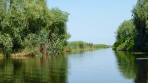 Donaudelta