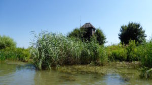 Donaudelta