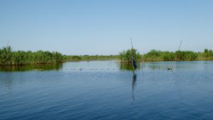 Donaudelta