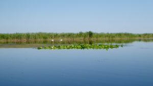 Donaudelta