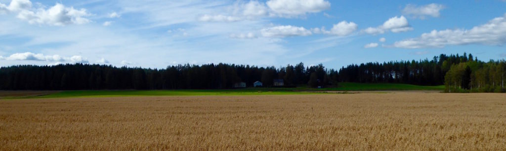 Haferfeld mit Bauernhof