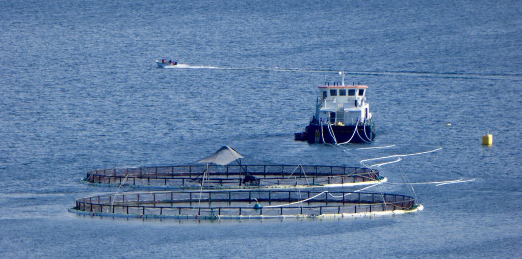 Fischerboot mit Aquakultur