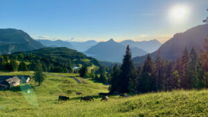 Ibergeregg, Aussicht